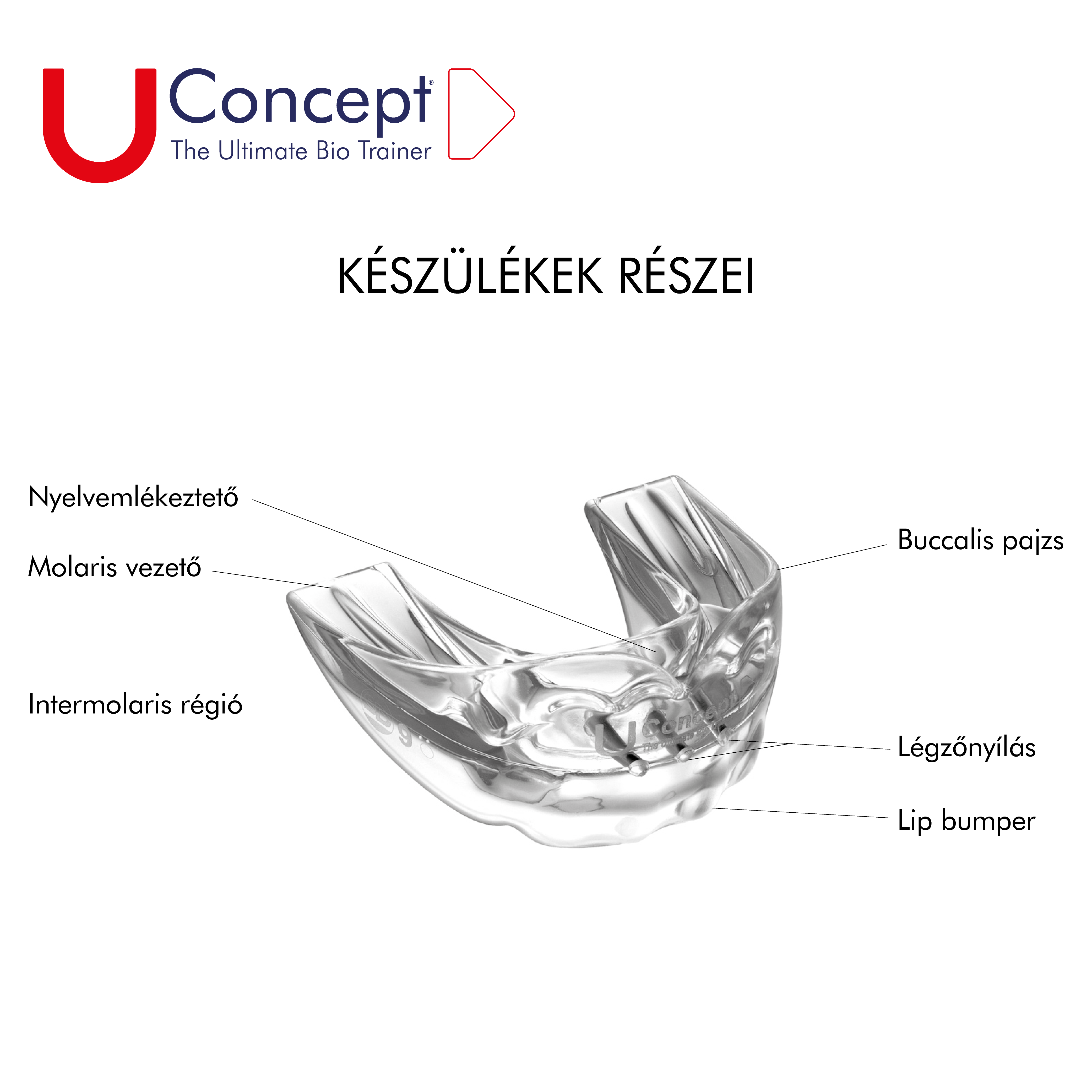 U Trainer - 7